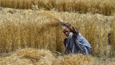 جعفرآباد میں کسانوں کا قرآن پاک اٹھا کر 10کلومیٹر پیدل مارچ