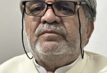 مریم نوازدونوں صوبوں کو دشمن قرار دے کر بھارت کو فائدہ پہنچانے کی کوشش کی جارہی ہے