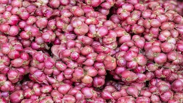اسمگل شدہ زرعی اجناس سے مقامی فصلوں کی قیمتیں متاثر، حکومت تمام داخلی و خارجی راستوں پر سخت نگرانی یقینی بنائے، ترجمان