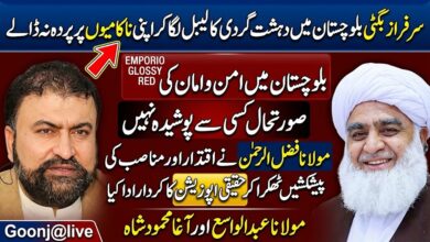 مولانا فضل الرحمن نے اقتدار اور مناصب کی پیشکشیں ٹھکرا کر حقیقی اپوزیشن کا کردار ادا کیا ،مولانا عبدالواسع اور آغا محمود شاہ