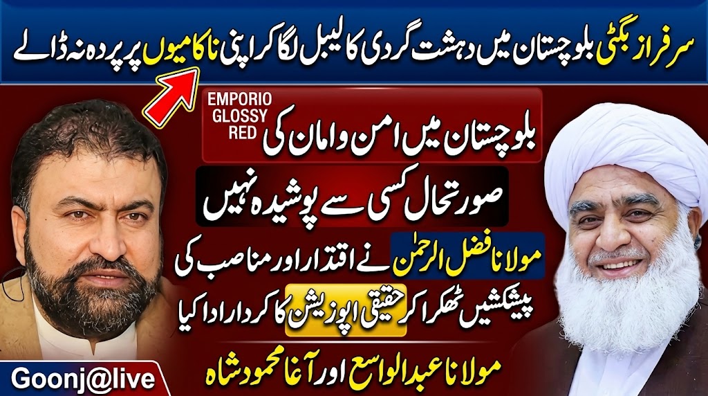 مولانا فضل الرحمن نے اقتدار اور مناصب کی پیشکشیں ٹھکرا کر حقیقی اپوزیشن کا کردار ادا کیا ،مولانا عبدالواسع اور آغا محمود شاہ